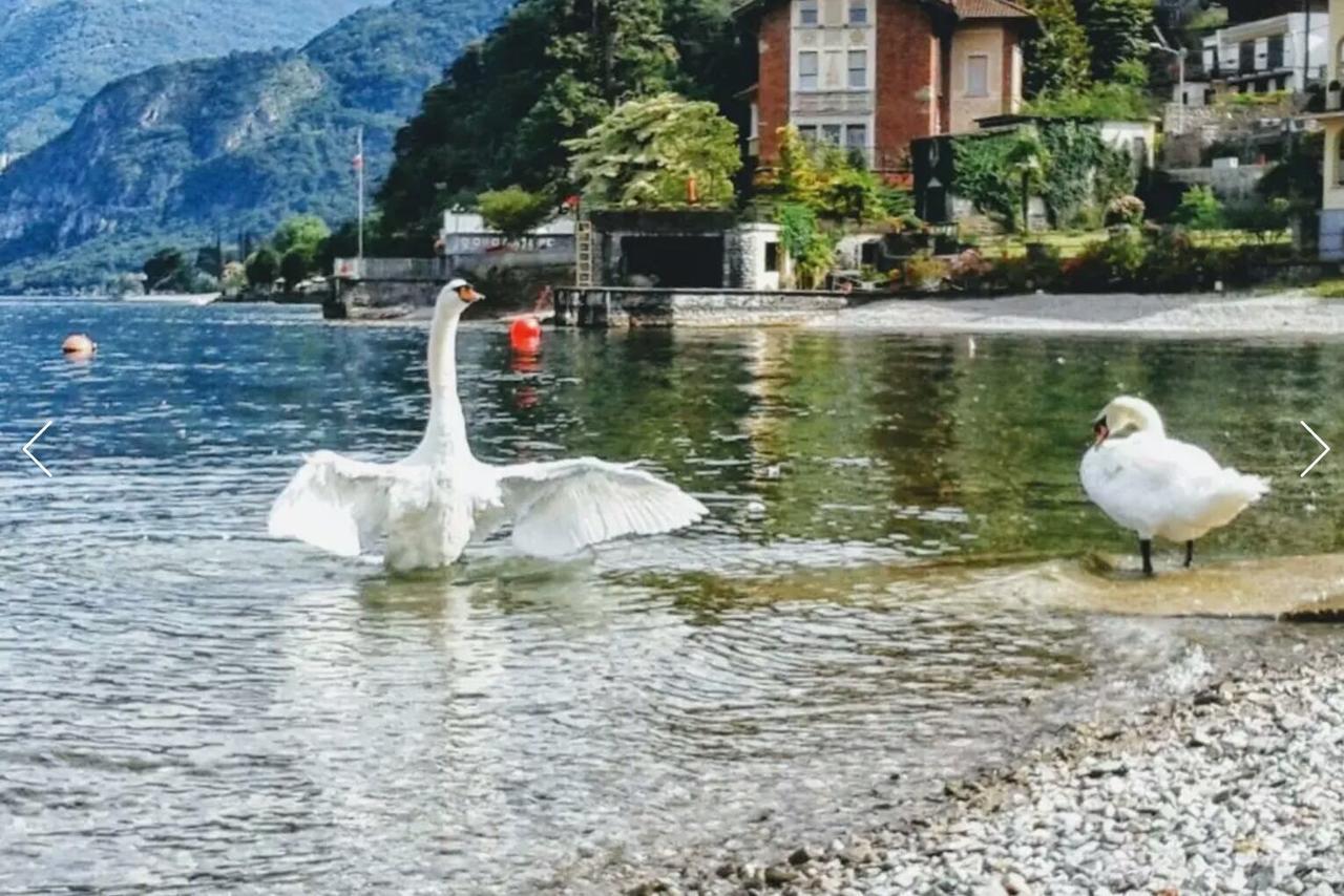 Le Grigne Guest House Oliveto Lario Exterior photo
