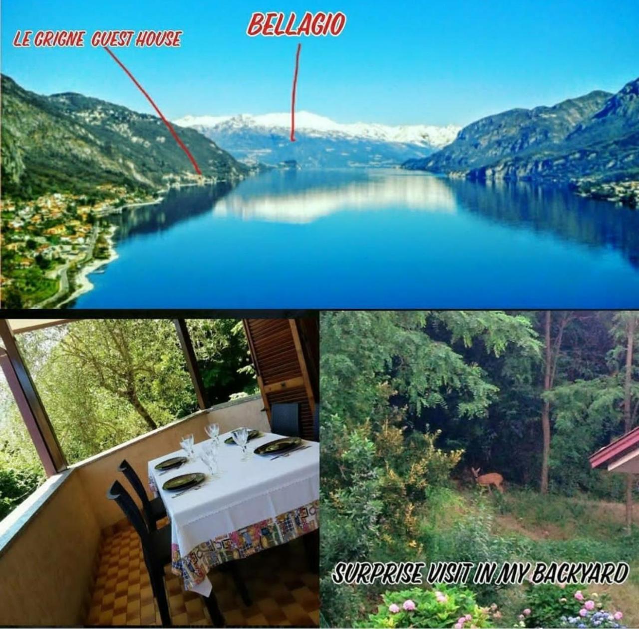 Le Grigne Guest House Oliveto Lario Exterior photo