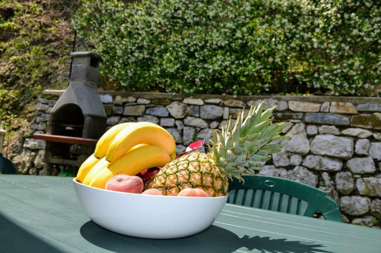 Le Grigne Guest House Oliveto Lario Exterior photo